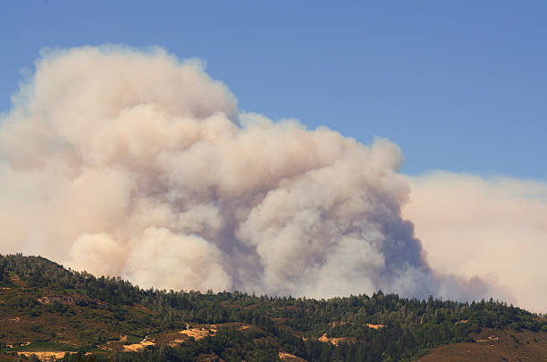 NAPA - foto de acervo