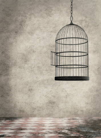 Empty birdcage hanging in an old dirty room
