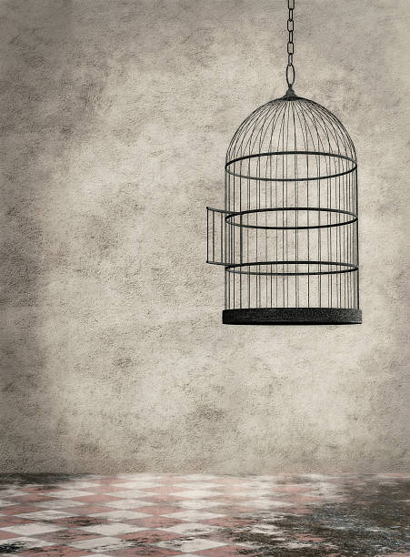 Empty birdcage hanging in an old room Empty birdcage hanging in an old dirty room birdcage stock pictures, royalty-free photos & images