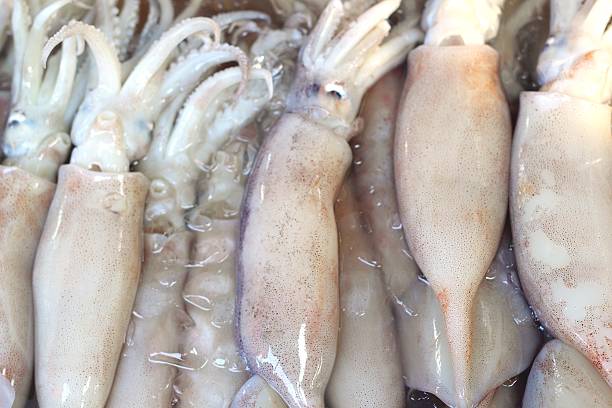 istock Fresh squid in the market 528614127