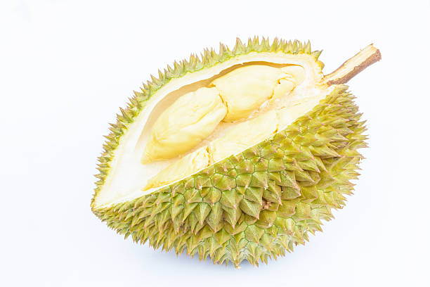 istock durian peeled on white background with horizontal 528615506