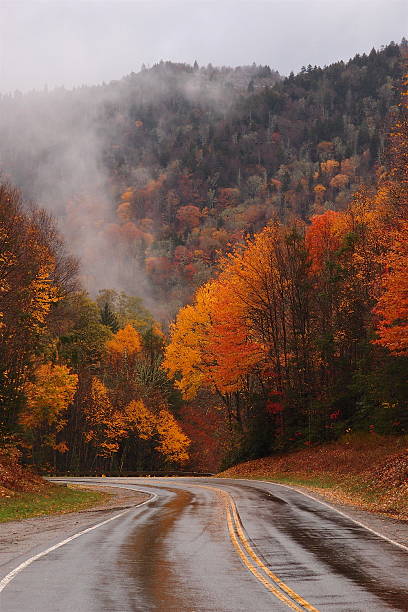 istock Smokies wet pavement 528615886