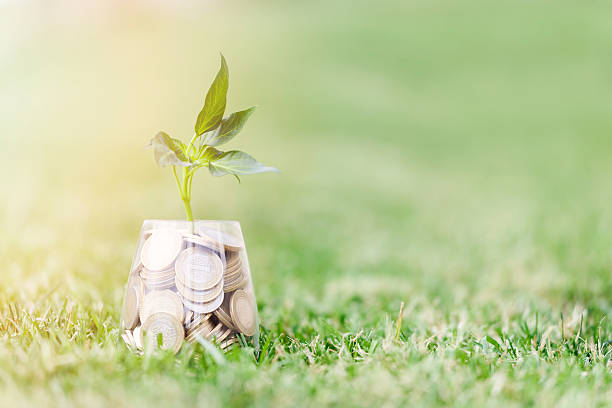 Coins and seed in clear glass on on grass