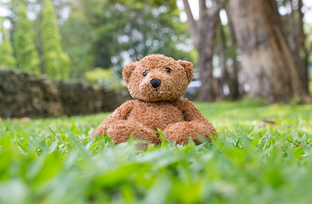 istock Teddy bear sit on green grass in park ,soft focus 528617504