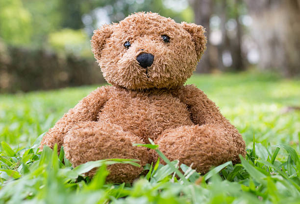 istock Teddy bear sit on green grass in park ,soft focus 528617522