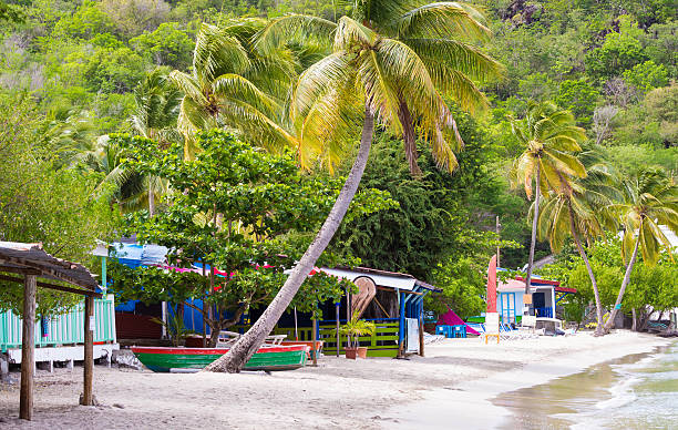 istock The Caribbean beach, Martinique. 528619954