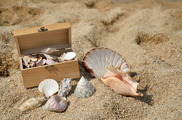 istock Wooden Chest Full of Seashells 528625724