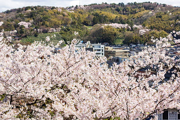 istock Kanazawa in Honshu, Japan 528628812