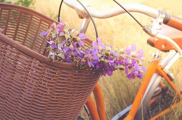 istock Flowers in basket on bicycle with dry grass background 528629332