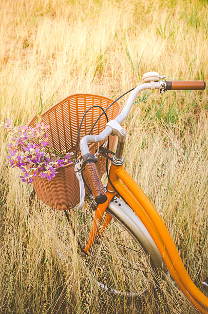 istock Flowers in basket on bicycle with dry grass background 528629416