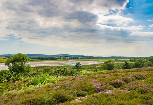 istock Dorset Creek and Heathland 528631295