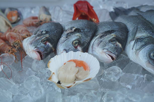 istock raw fishes on ice 528631432