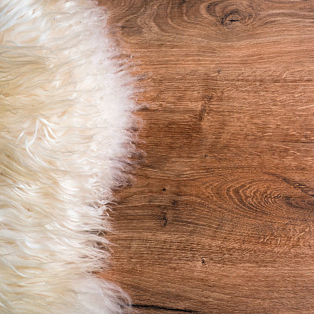 istock fur on wood floor 528631794