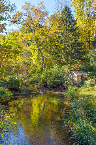 A small pond in early Autumn in Allaire State Park in New Jersey.