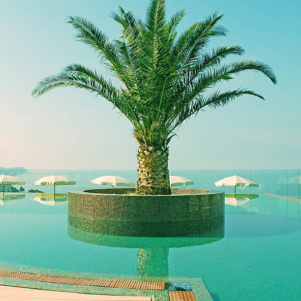 istock Swimming pool and Mediterranean sea view 528632309