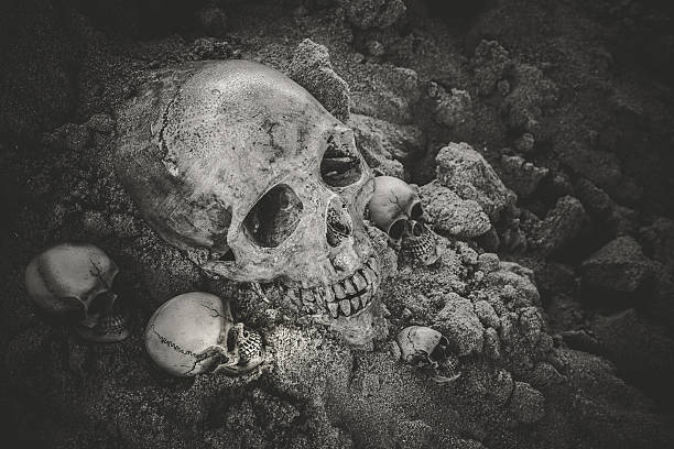 istock Still life of skull 528632790