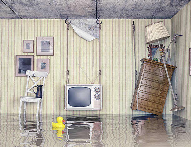 istock life in the flooded flat 528634025