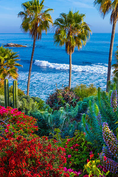 Laguna Beach coastline,Pacific Ocean,Rte 1,Orange County,CA(P)