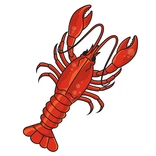 Vector illustration of Crayfish