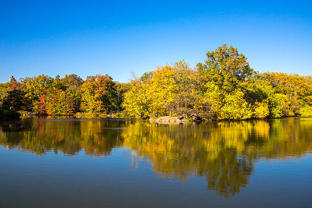 istock View of Central Park in Manhattan 528635337