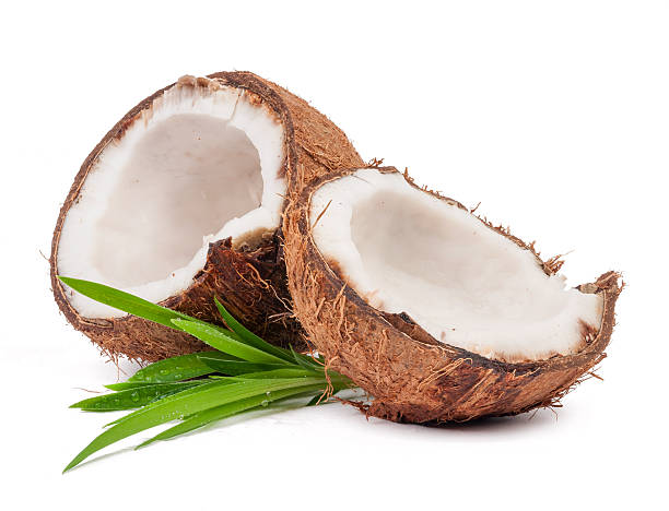 istock Two coconut  with palm leaves isolated 528635709