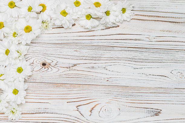 istock white flowers on wooden background 528636112