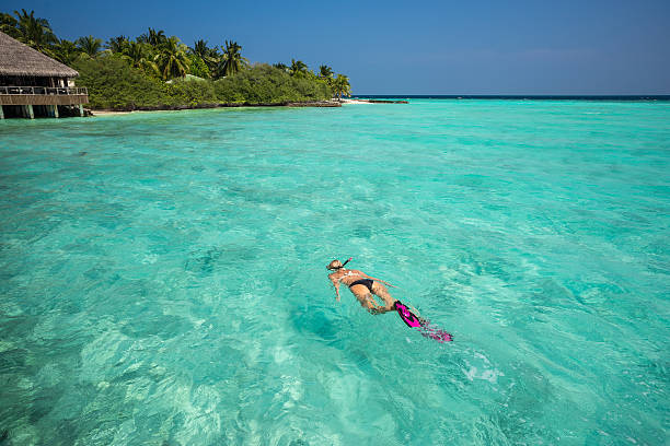 istock Woman snorkeling in clear tropical waters 528636314