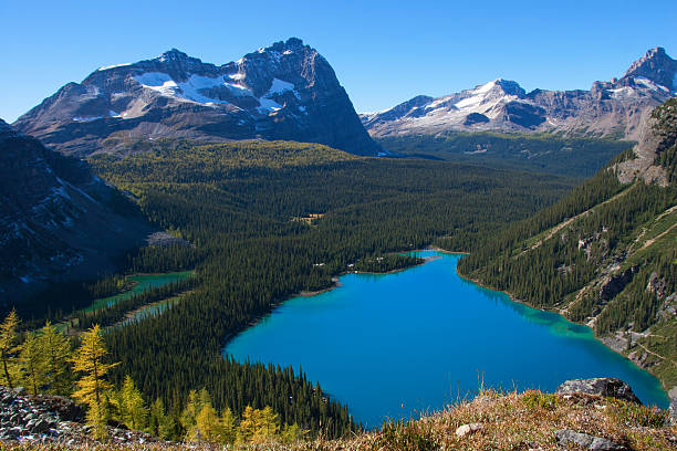 istock Canadian Rockies 　 528638153