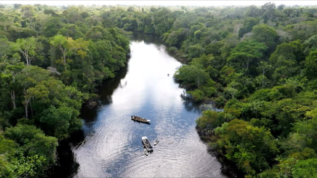 two small river skiffs, black water tributary of the amazon river, peruvian amazon, peru