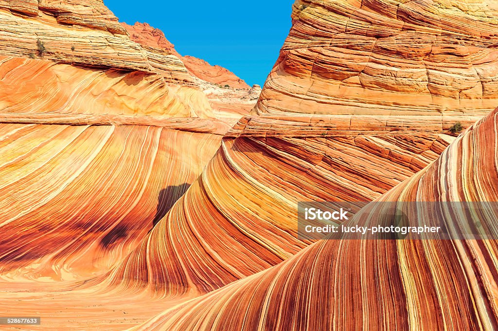 The Wave, plateau from red sandstone in form ocean waves. Arizona Stock Photo