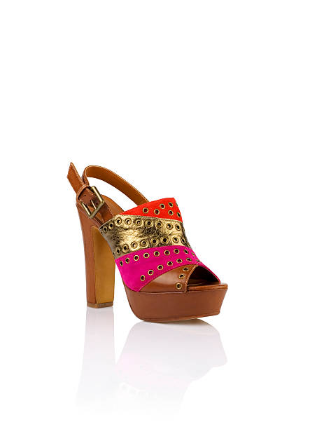 istock Fashionable women shoe 528679597