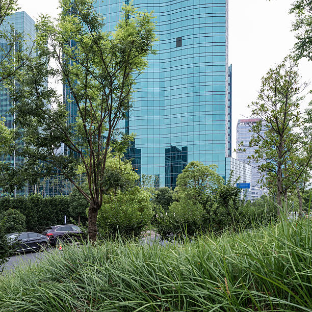 istock Office buildings and wooden platforms 528682853