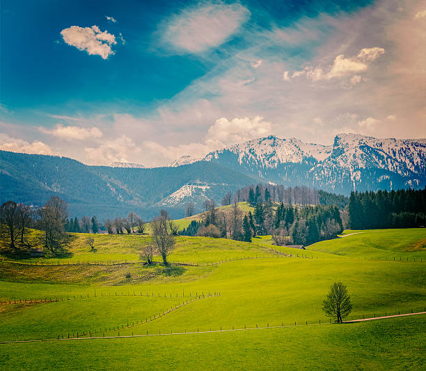 istock German idyllic pastoral countryside in spring with Alps 528685107