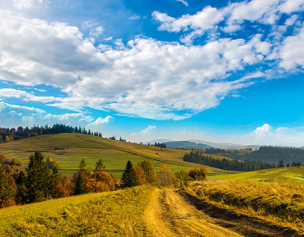 istock Wide road in the Carpathian Mountains. 528706905
