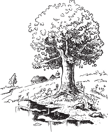 Tree Standing Drawing Romantic Landscape With Big Old Oak Tree Standing Alone Drawing Stock ...