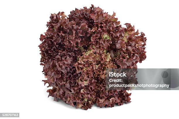 Lollo Rosso Lettuce Stock Image Stock Photo - Download Image Now - Red, Bundle, Cooking