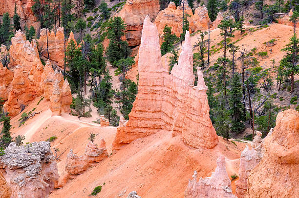 istock Mountains in Bryce Canyon National Park, Utah, USA 528707519