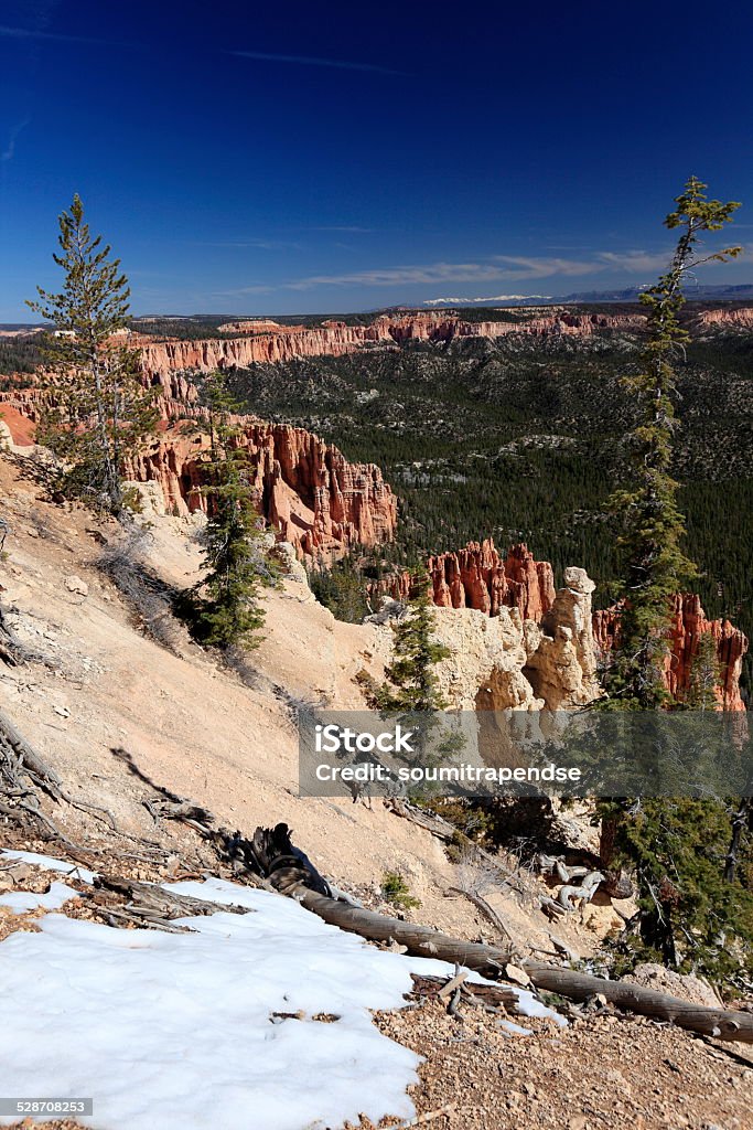 Beautiful rock formations at Bryce canyon, USA Rock formations at Bryce Canyon along with forest in morning light Acute Angle Stock Photo