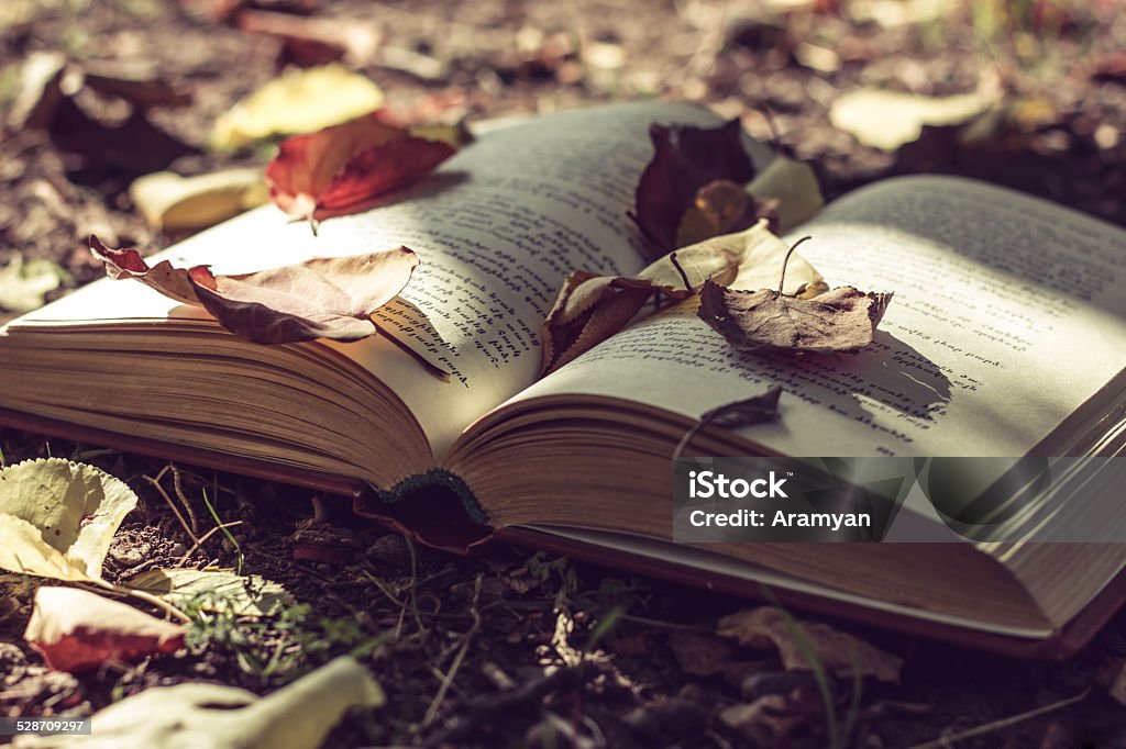 book on the nature Autumn Stock Photo