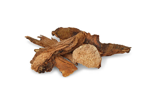 istock Dried Cepes mushrooms - Stock Image 528709723