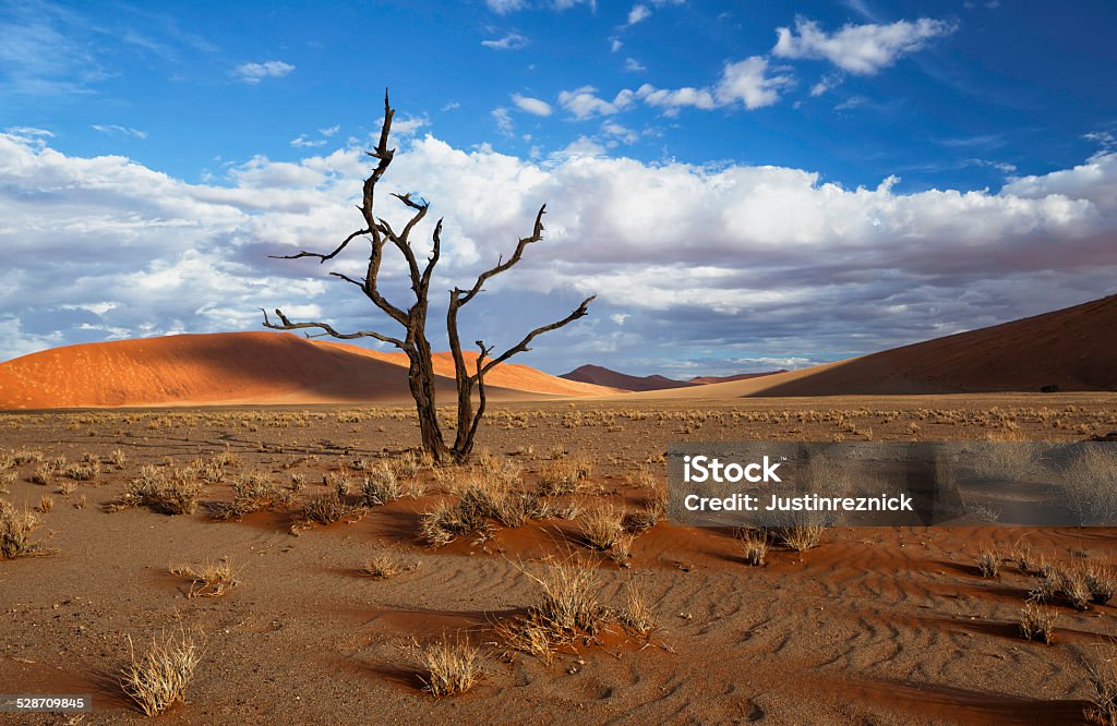 Sossusvlei, Namibia The incredible Sossusvlei, Namibia. Arid Climate Stock Photo