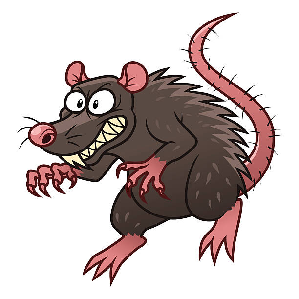 Evil rat Cartoon malicious rat on the white background. Cruel stock illustrations