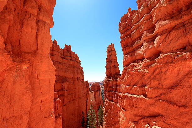 istock Beautiful rock formations at Bryce canyon, USA 528711937