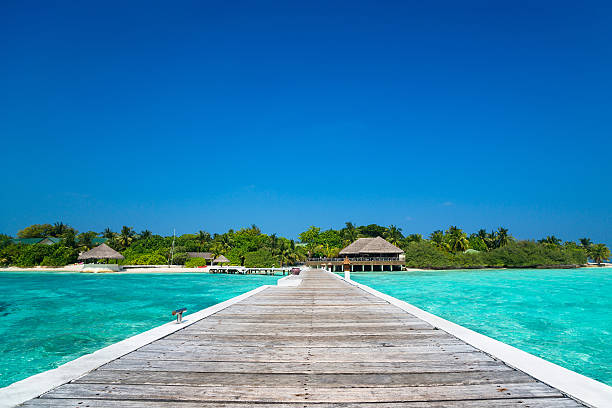 istock Wooden pier with blue sea and sky background 528713600