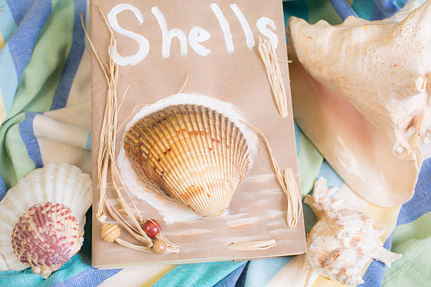istock Summer vacation.  Paper bag filled with seashells on beach blanket. 528713750