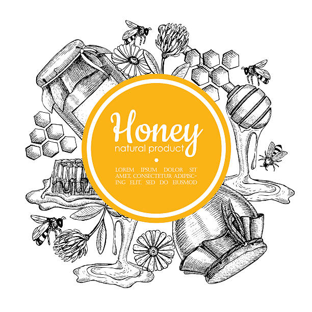 ilustrações de stock, clip art, desenhos animados e ícones de vector mão desenhada mel estrutura. detalhado gravado mel illustrat - frasco comida biologica