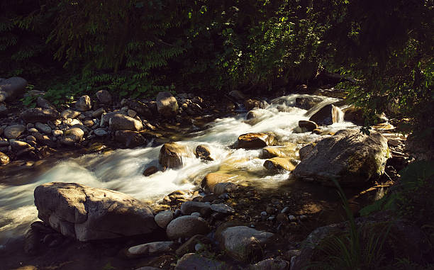 nice magnifique le torrent de la montagne - middle prong photos et images de collection