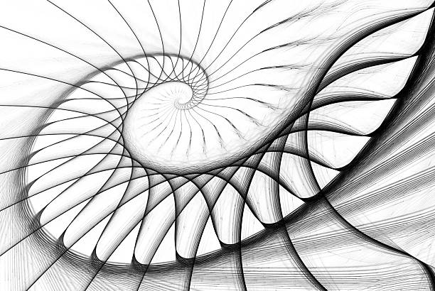 spiral staircase black on white stock photo