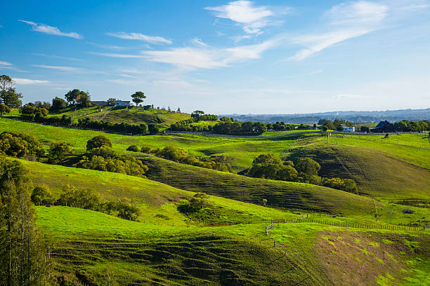 istock New Zealand countryside 528720828