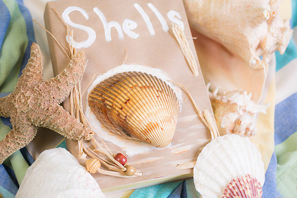 istock Summer vacation.  Paper bag filled with seashells on beach blanket. 528722232